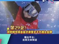 乐鱼体育官方网站-夺冠之路！选手实现个人突破，获得金牌的简单介绍