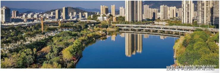 英雄联盟焦点战：风暴之眼对战怒海狂鲨，强势突围，赢得实至名归的简单介绍