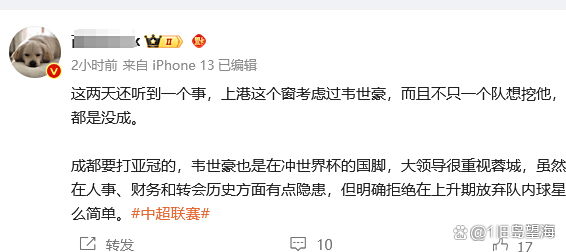 13轮下来丢球最少4大豪门成都蓉城最少海港最多的简单介绍
